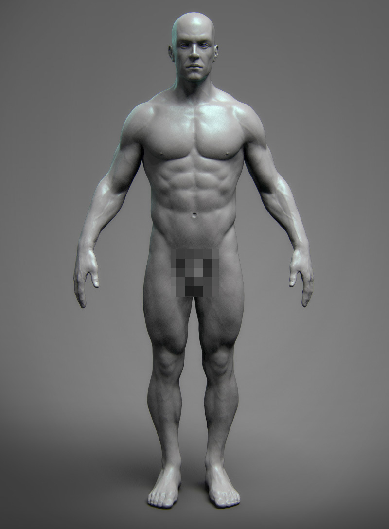 Anatomy Male Tool Reference for Artists !_DOWNLOADS Anatomy Male Tool Anatomy Male Tool,Reference for Artists