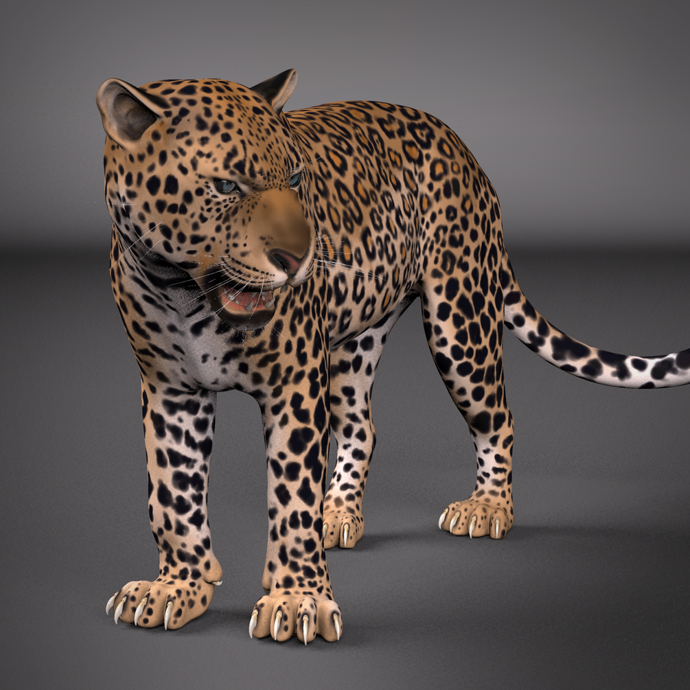 Leopard Maya Rig _ DOWNLOAD Leopard Maya Rig Leopard Maya Rig