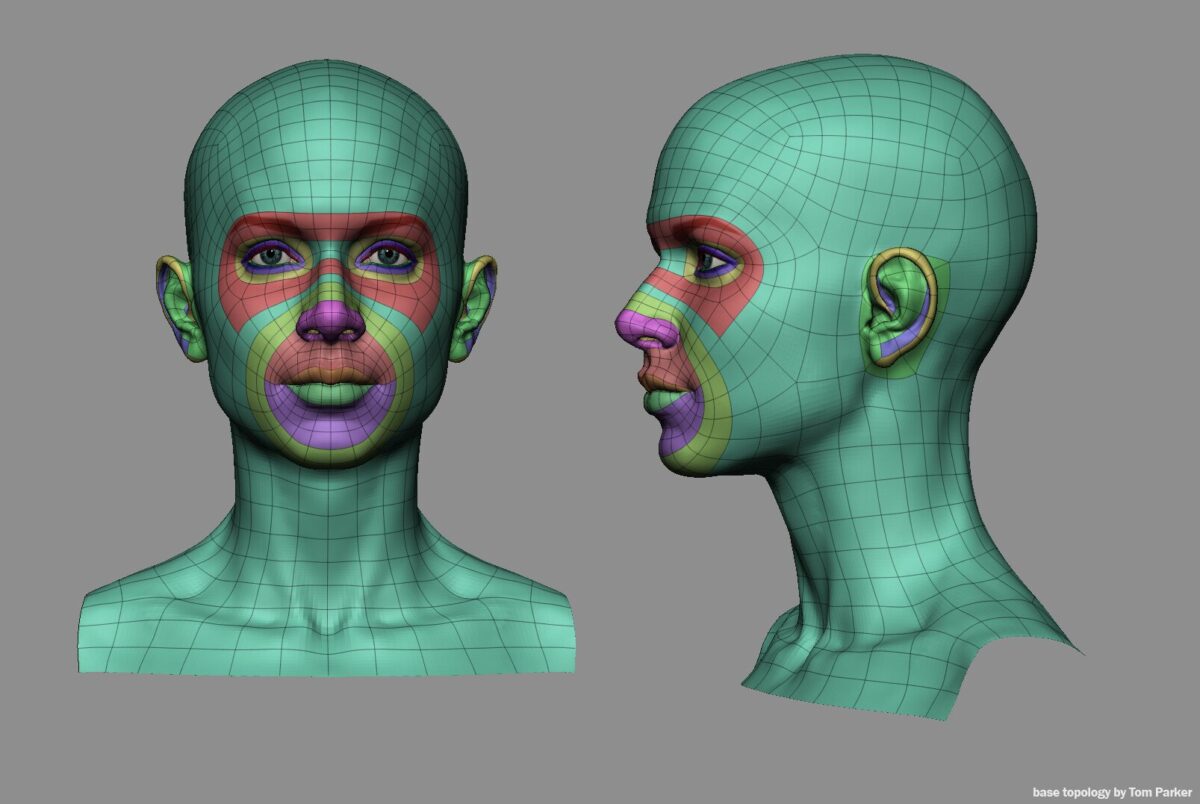 Facial Topology mini tutorial_By Tom Parker Facial Topology mini tutorial Facial Topology mini tutorial,tom parker