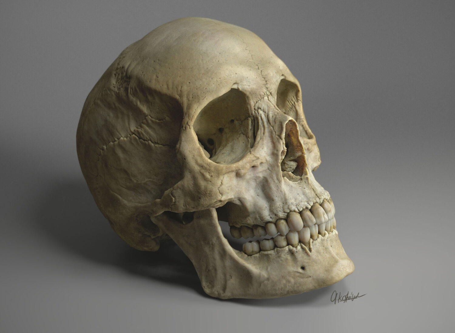 Female skull sculpture